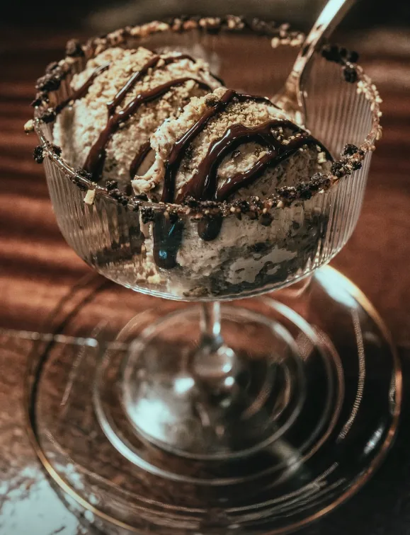 Gelato with chocolate drizzle and a cookie-crumb rim
